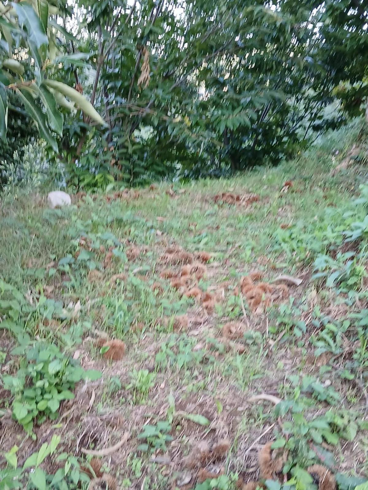 Terra Vitale Cava deʼ Tirreni Kültér fotó